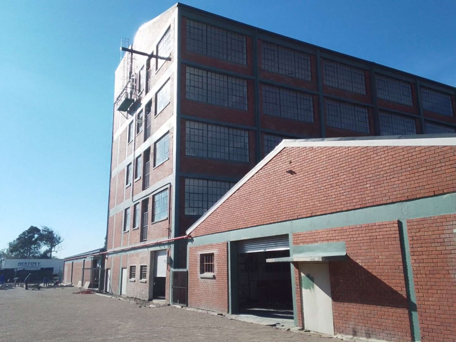 To Let commercial Property for Rent in Diep River Western Cape